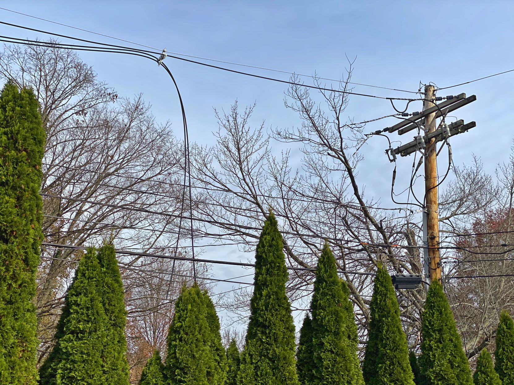 snapped powerline